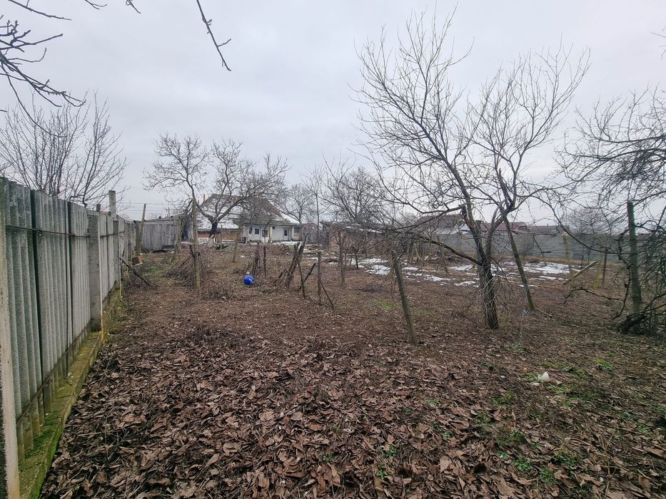 Vând casă Sagu 1440 mp teren