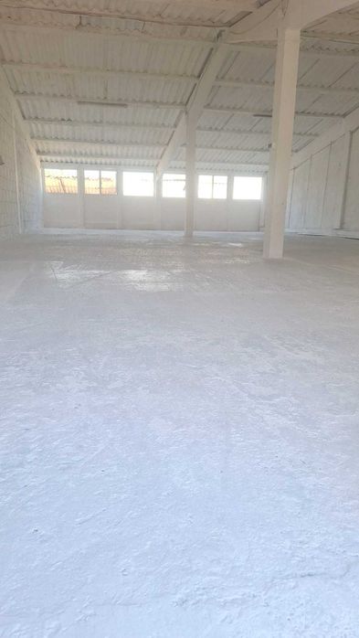 Inchiriez HALA DEPOZIT sau pentru productie TOMESTI