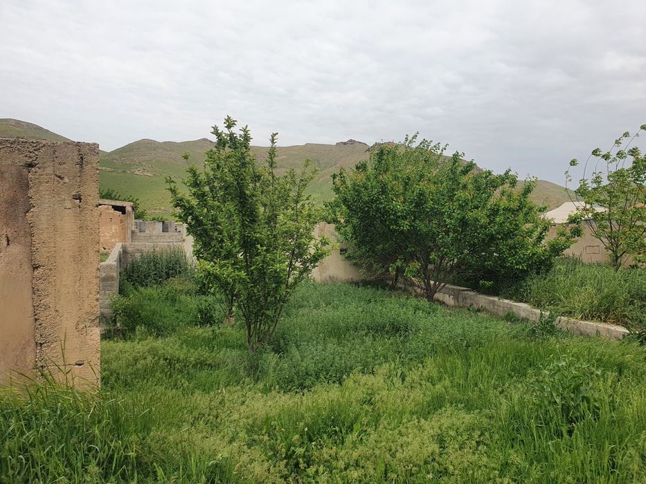 амир темур махалласида