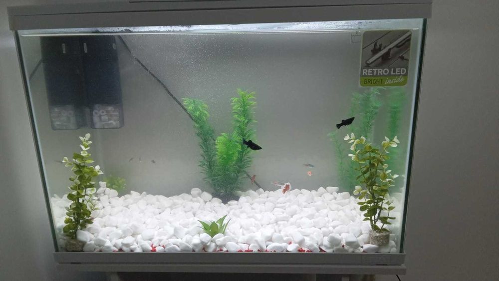 Vand acvariu 120 litri