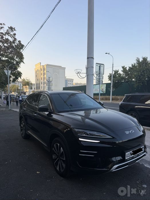 Byd champion restayling 605 km