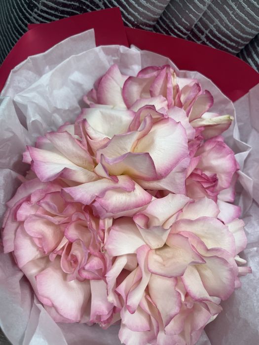 Цветы в хорошем состоянии