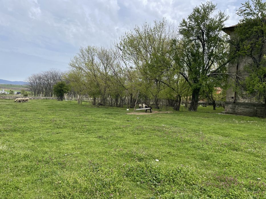 Продава се Парцел в с. Люляково, Област Бургас - 3616 кв.м за 31 €/кв.м - Снимка #3