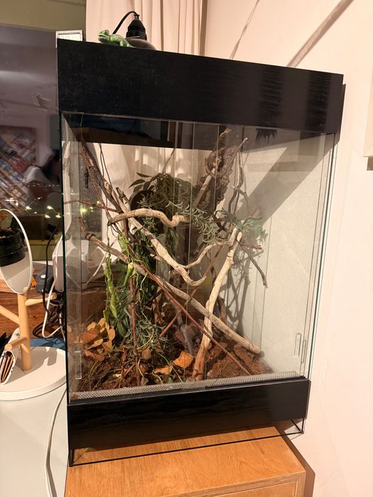 Терариум, използван много кратко 45/55