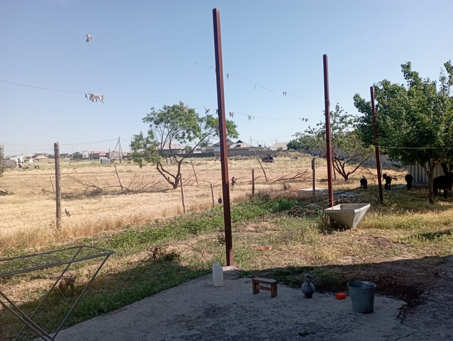 Срочна сатылады багасы келсымды