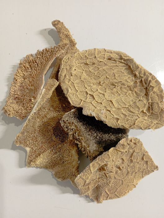 Сублимированный говяжий рубец  для собак