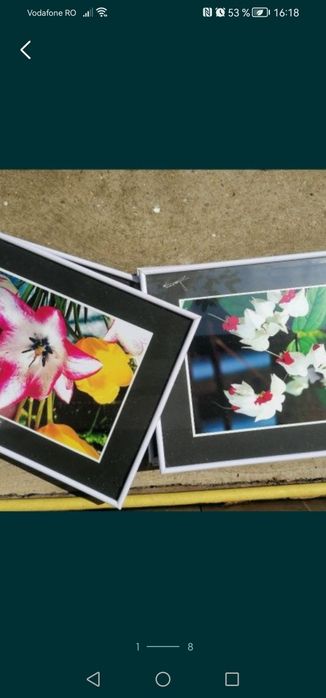 Tablou A3, cu rama și geam de sticla, poze flori sau peisaje, semnat