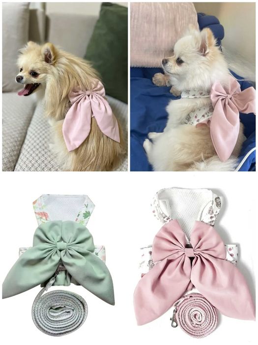 Рокля за куче с нагръдник и каишка Йорки Померан Шпиц Териер