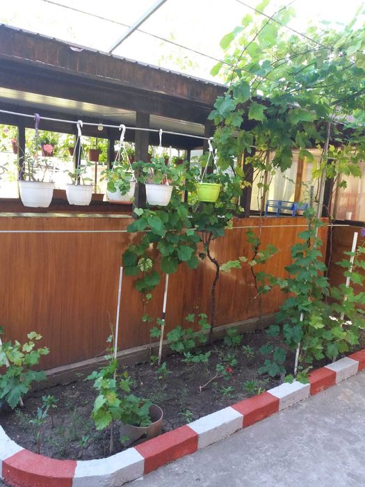 Cazare Costinesti Casa Mariana