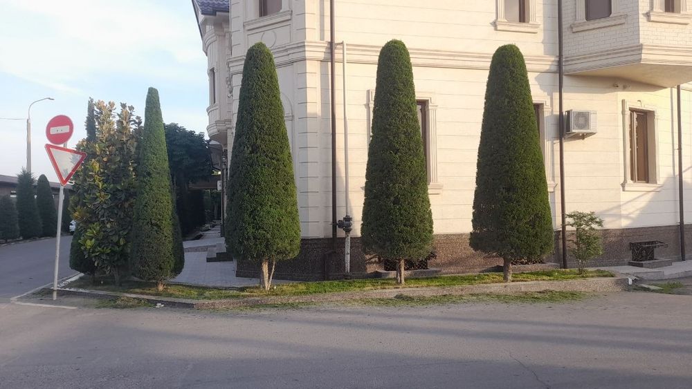 Archa kesish dorilash xizmati
