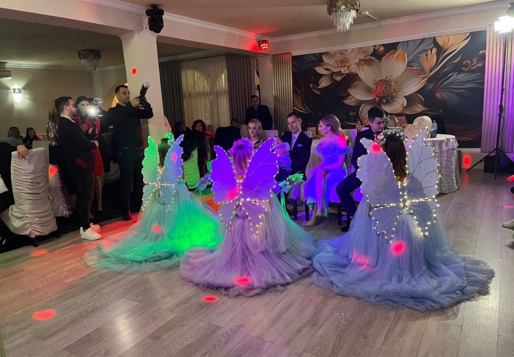 Ursitoare botez si Mascote Disney