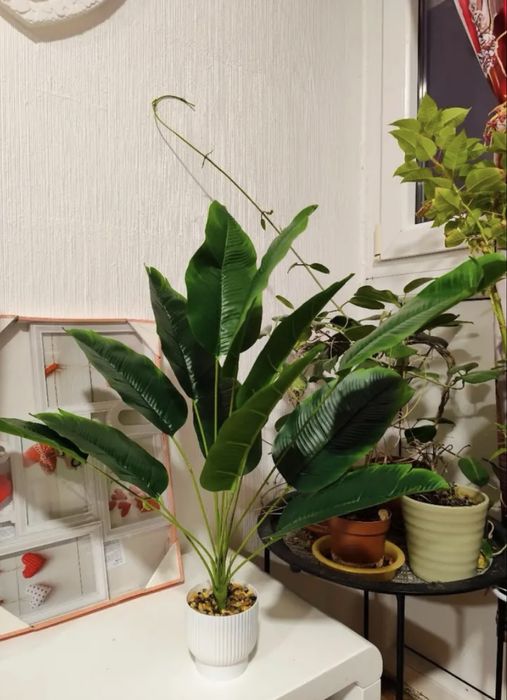 Искусственные  цветы 2 шт пальмы