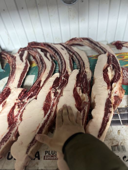 Продам жирных лошадей