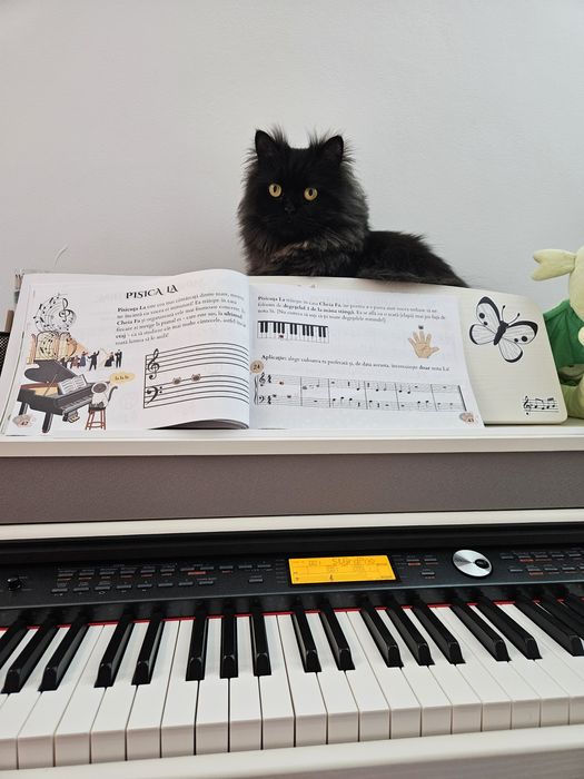 Meditații Pian Sector 6