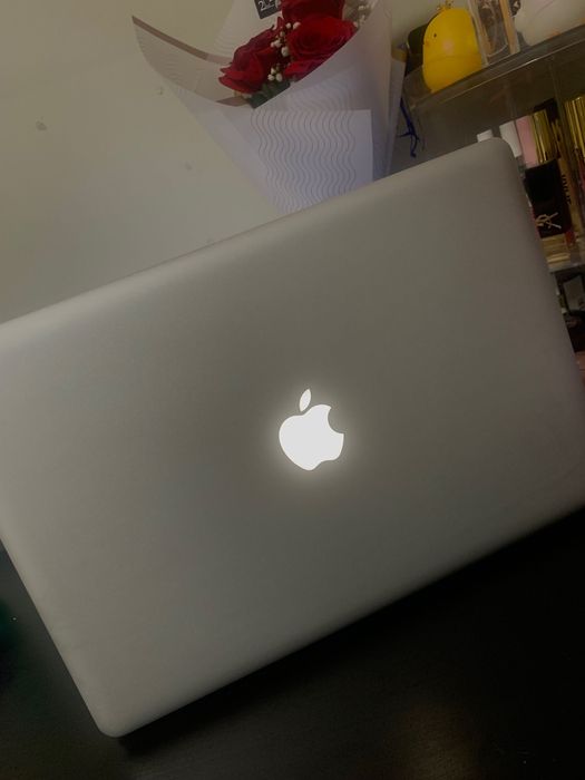 MacBook Pro  functional