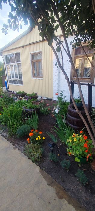 Дачу в с.о. Дельта с. Мичурино