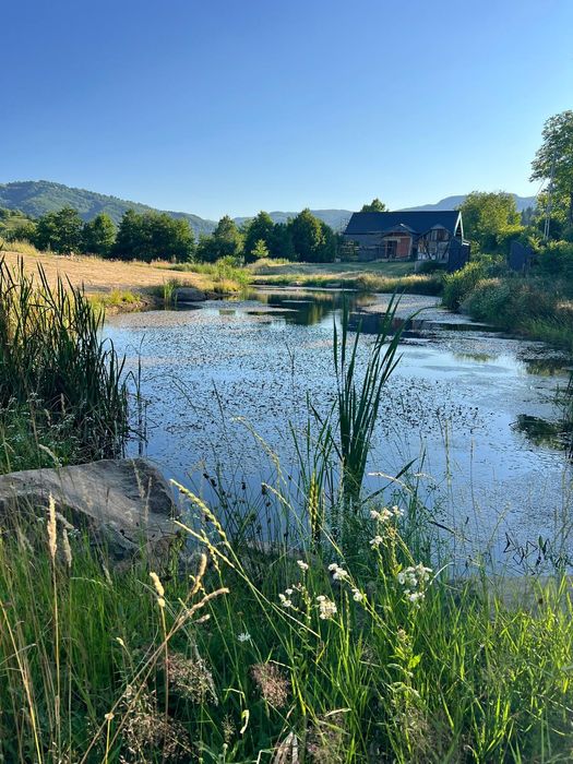 Casa cu teren 10130mp