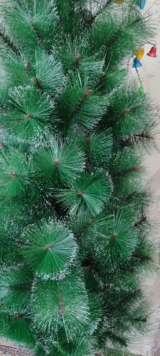 Archa sotiladi  sotiladi bitta qoldi