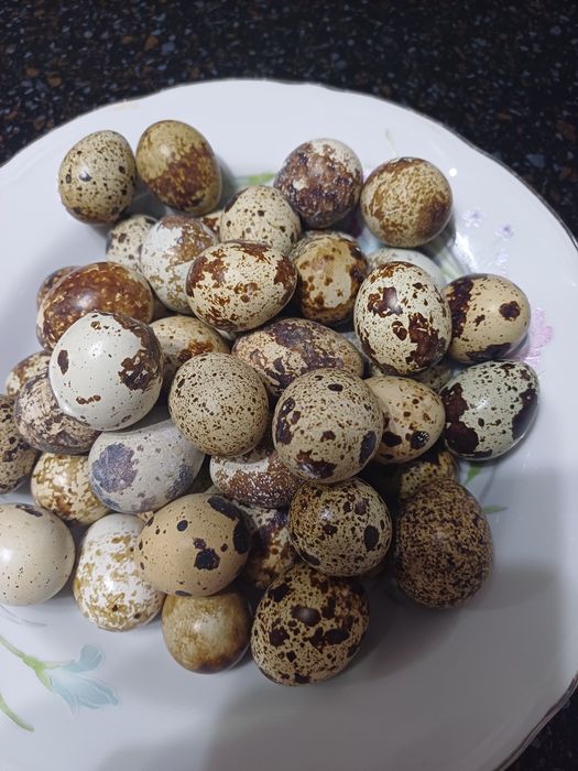 Джоанна - порно актриса.