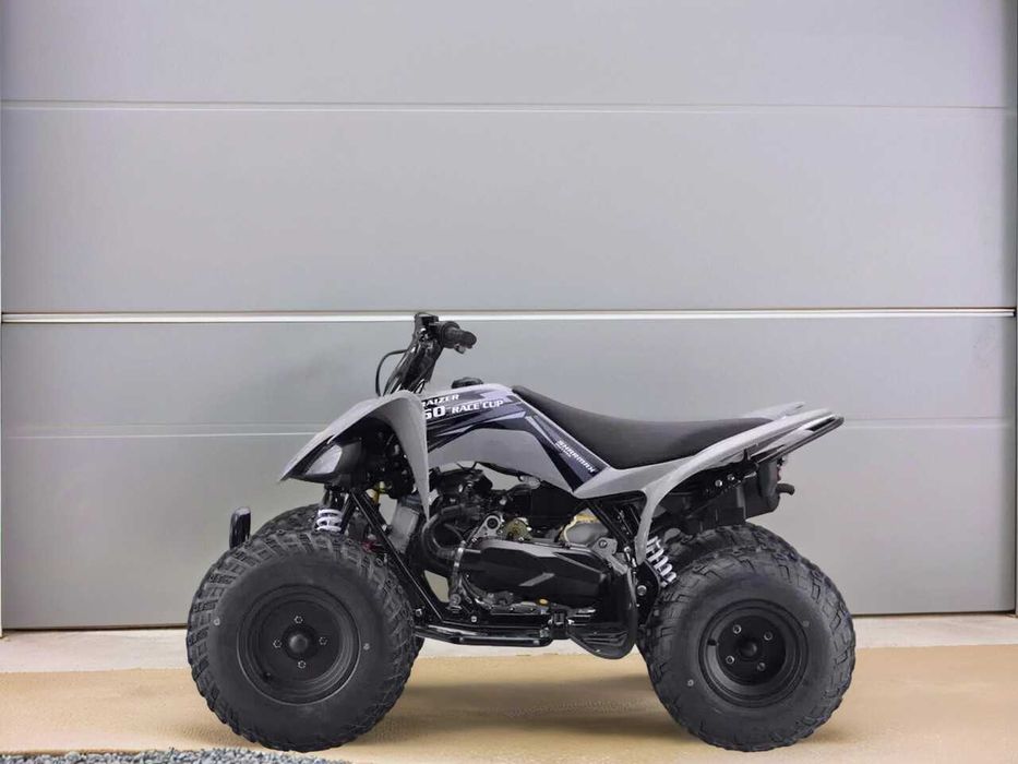 Квадроцикл Sharmax Raizer Race Cup 250