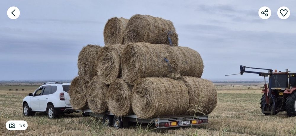 Producator-Baloti PAIE de GRÂU si ORZOAICĂ