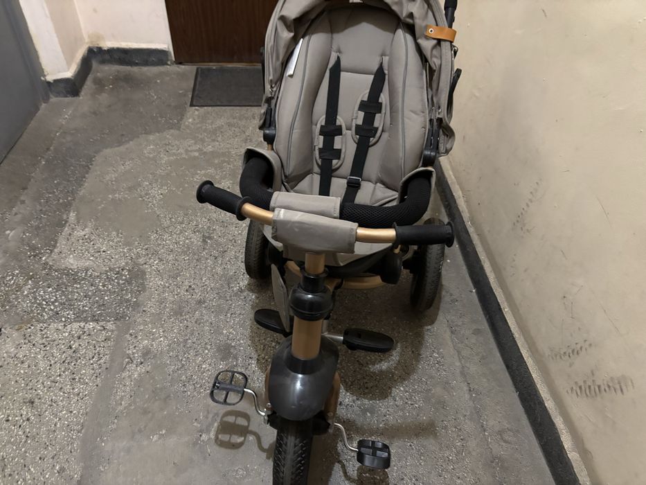 Триколка chipolino