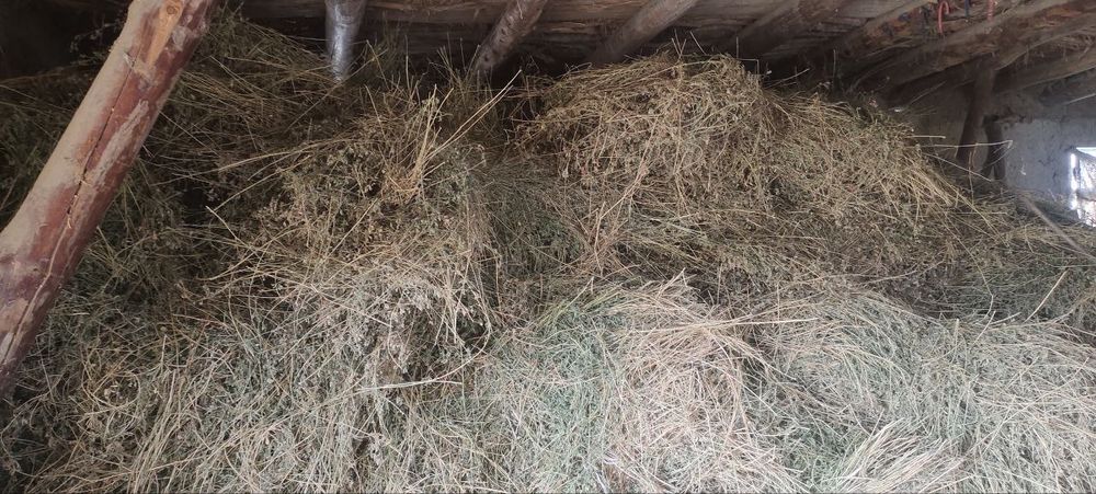 Катта Боглик беда сотилади, нархи келишилган холда