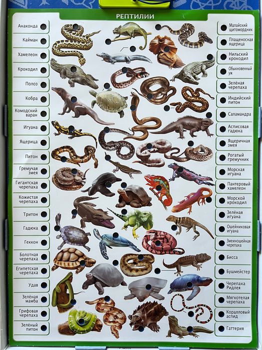 Игра для детей Conector Животный мир