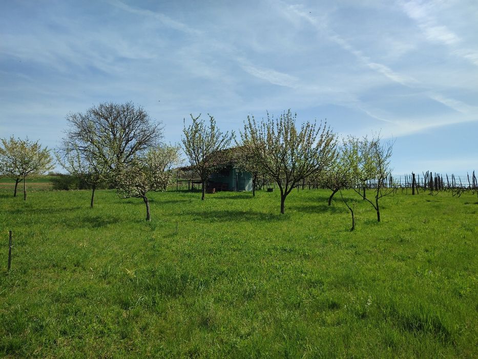 Téren intravilan de vanzare