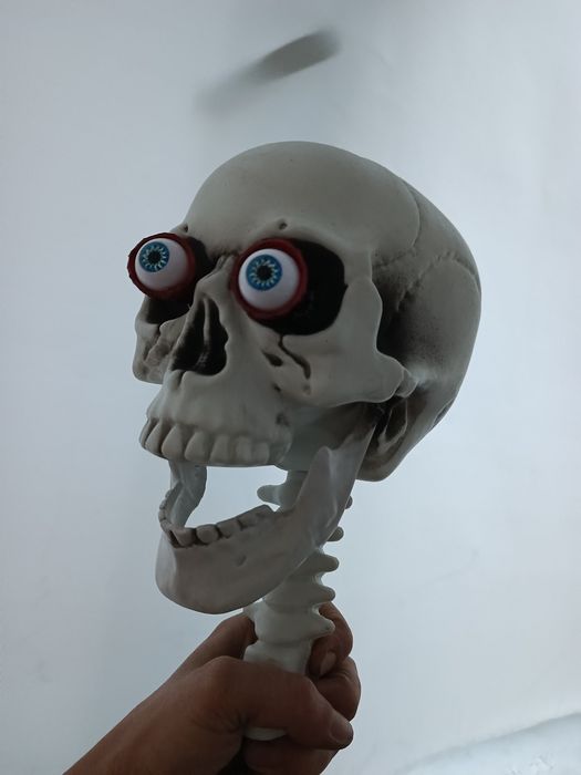 Скелет череп человека 90см.