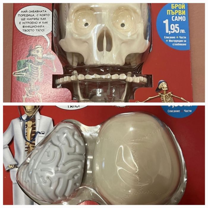 Човешкото тяло 1-ви и 2-ри брой