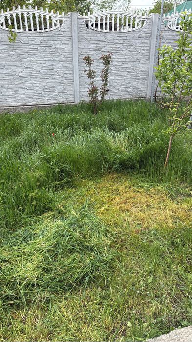 Сено, скошенная трава