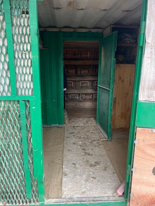 Продам голубятник