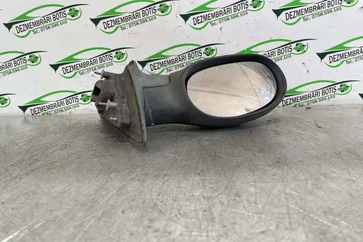Oglinda dreapta PP818070F Renault Laguna 2001 1.9 DCi MT (107 hp)