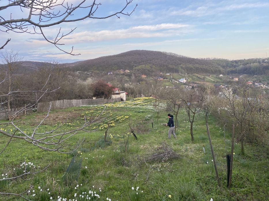 Casa Valea Mare la 3 km de centrul Pitestiului