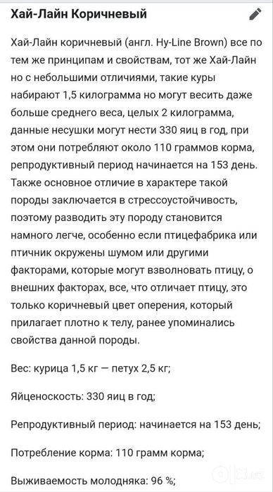 Хаммаси 100 % товук чикади. Сертухум Хай-лайн соня жужалари. Jojalar