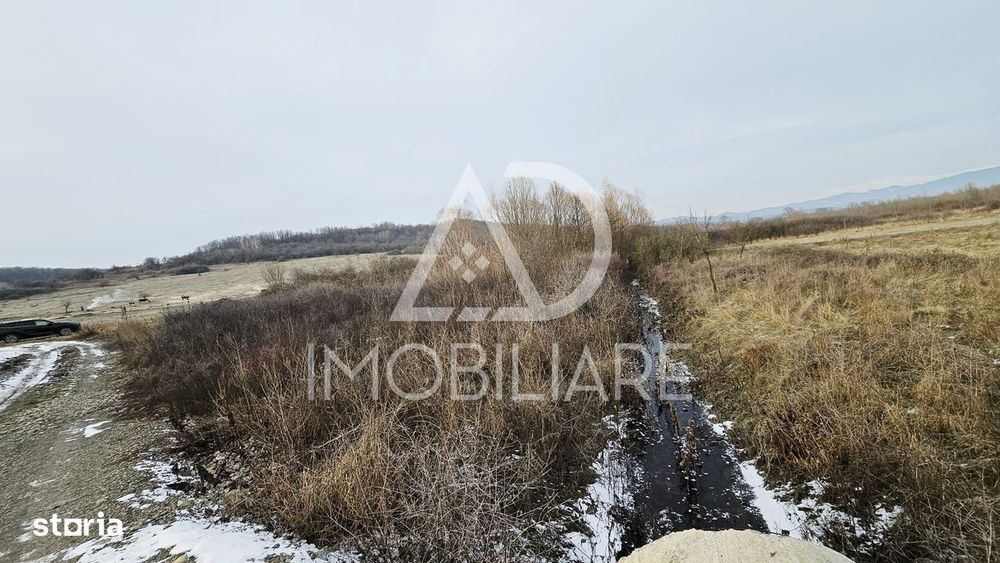 Teren de Vânzare în Turcinesti