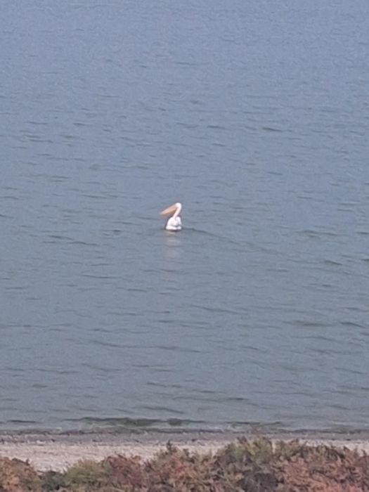 Particular loturi cu vedere superbă la lac Techirghiol și  in rate.