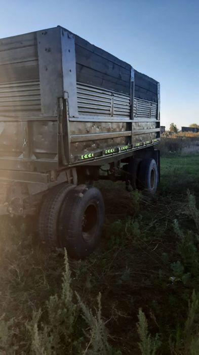 Прицеп алматинец, Алматинка