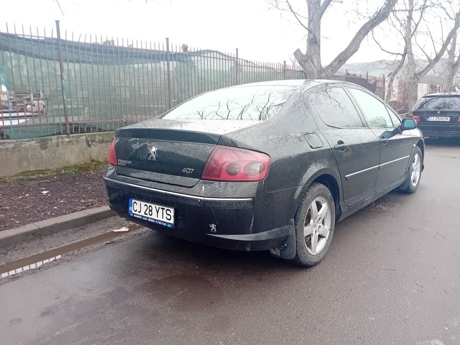 Peugeot 4072008.