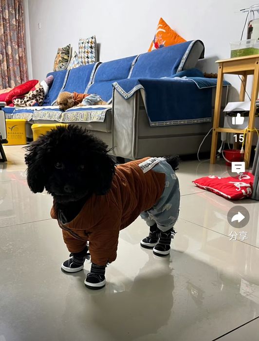 Продам ботиночки для собаки