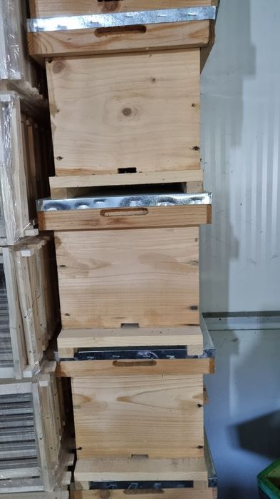 Roinite 3 compartimente