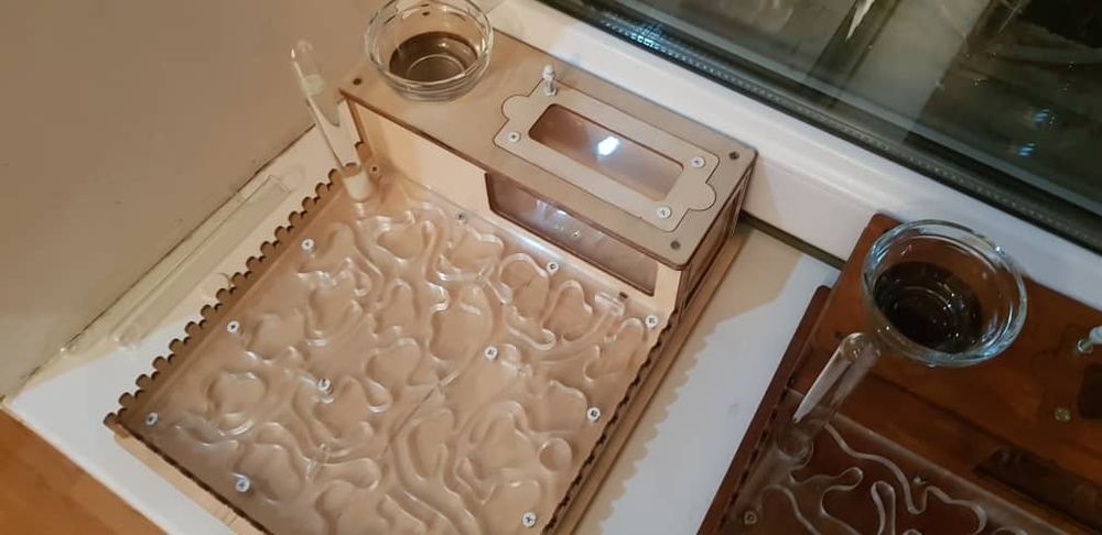 Продам Муравиную ферму