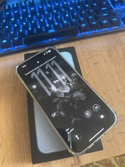 iPhone 13 pro max