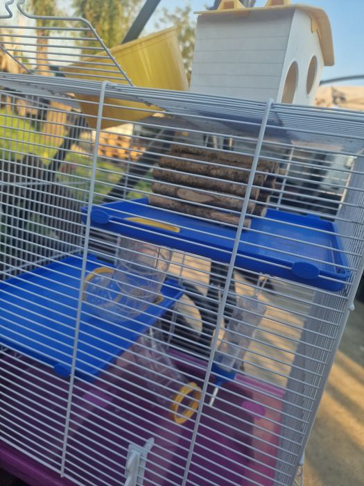 Cusca hamsteri 2 nivele