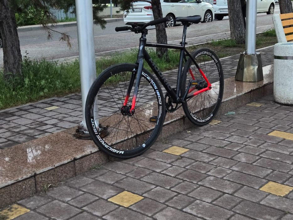 Продам Модрич с дефектом