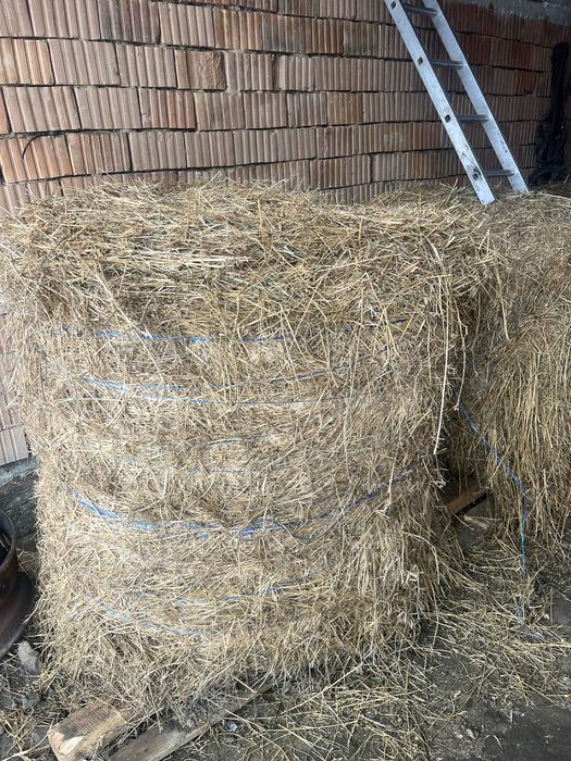 Vand baloti de fan si lucerna