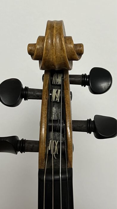 Vioara de maestru