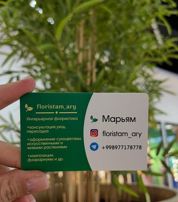 Флорист/Gulchi/Уход за растениями/Услуги флориста