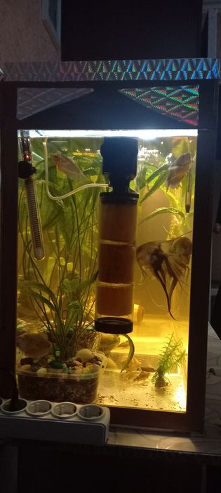 Аквариум 160 литров